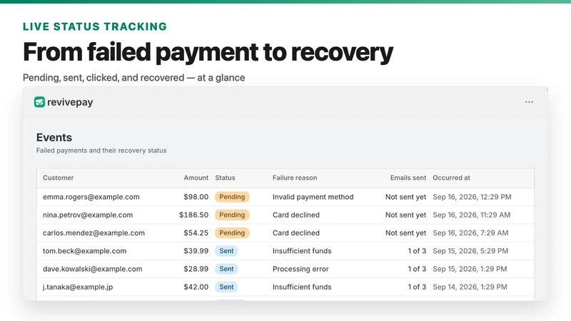 Failed Payment: RevivePay