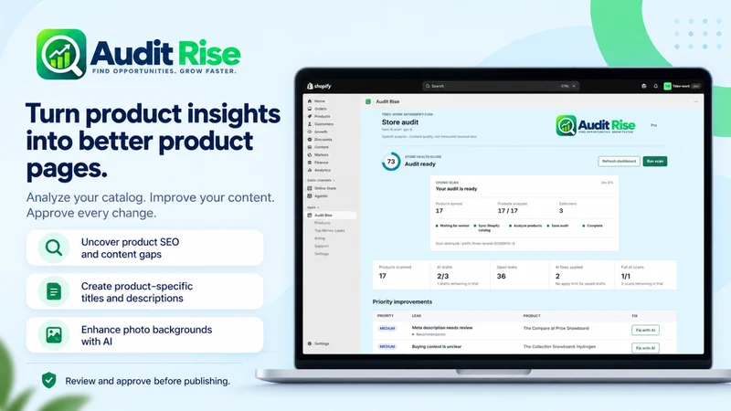 Audit Rise