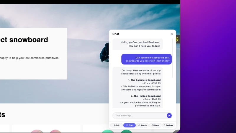 BizFinder AI Assistant