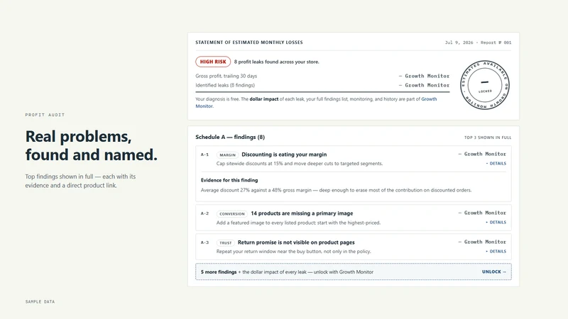 Auditink: Profit Leak Scanner