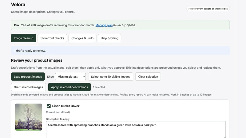 Velora: Audit & Alt Text