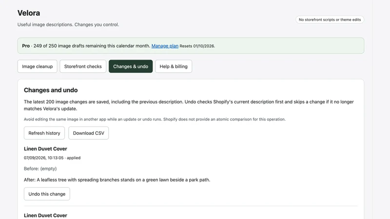 Velora: Audit & Alt Text