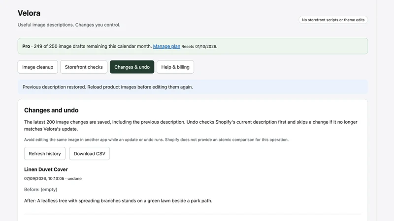 Velora: Audit & Alt Text