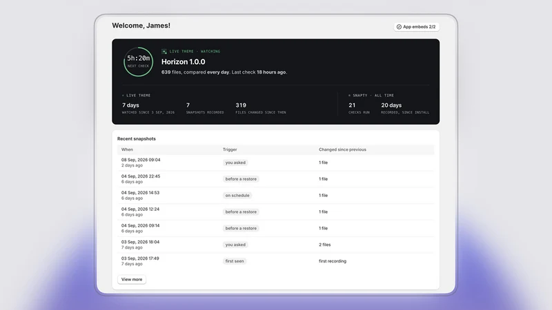 Snapty Theme Backup & Restore