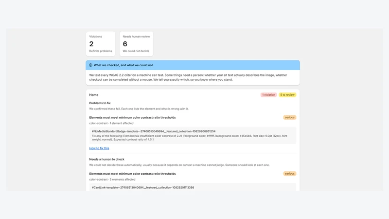 Nasolv Accessibility Scan
