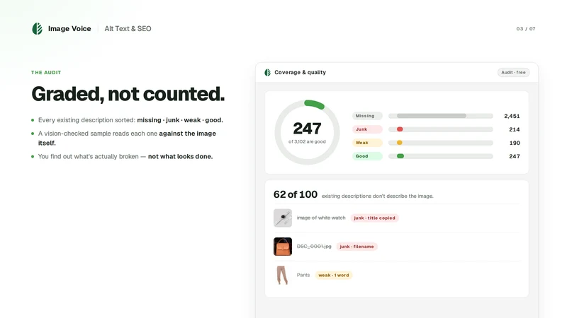 Image Voice: Alt Text & SEO
