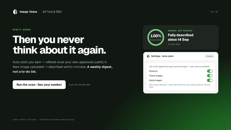 Image Voice: Alt Text & SEO