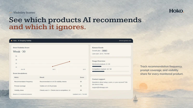 Hoko AI Shopping Visibility
