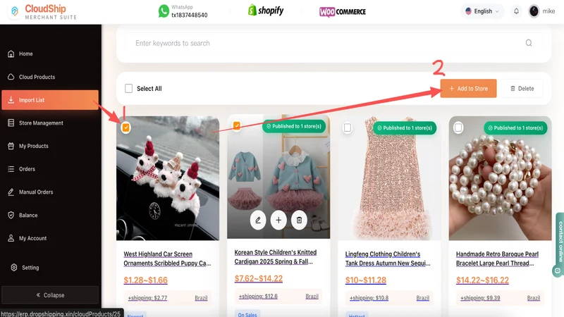 cloudShip ‑ dropshipping