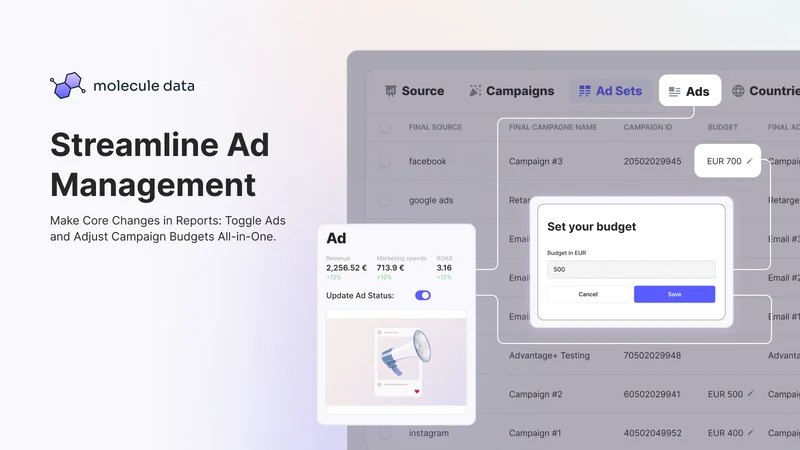 Molecule Marketing Analytics