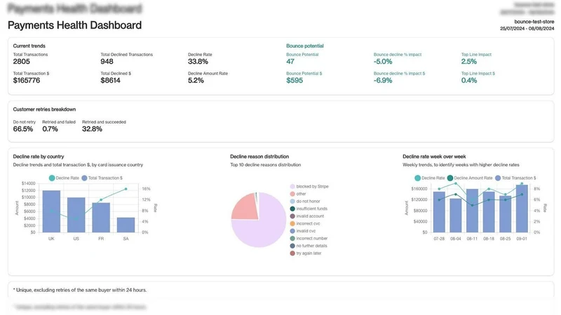 Maven payments co‑pilot