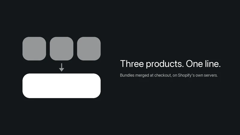 Matrix Bundles