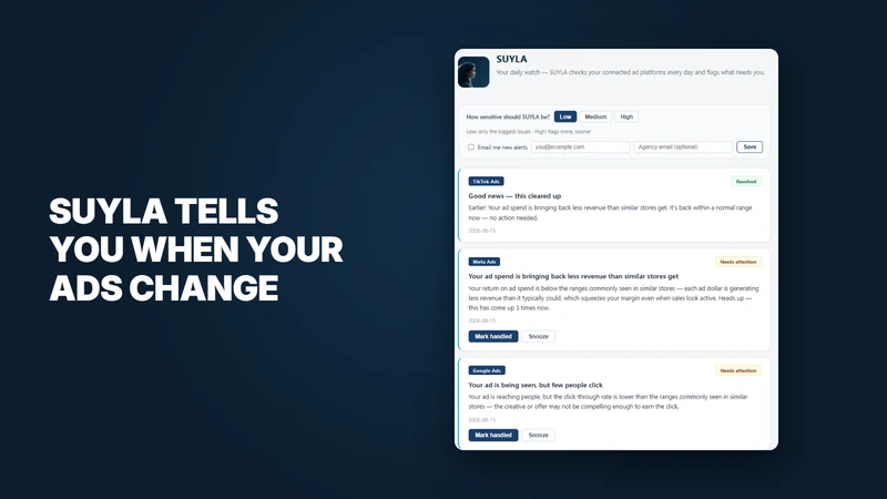 KPIHelm: AI Ads Analytics