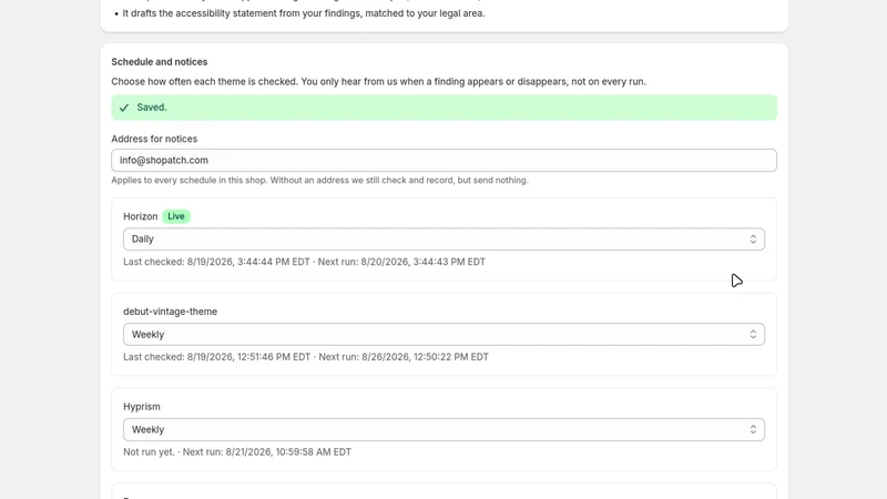 Shopatch Theme Audit