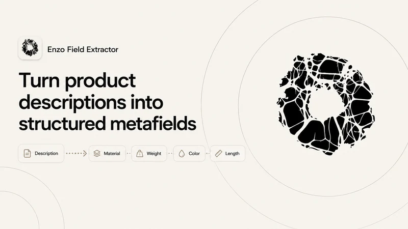 Enzo Field Extractor