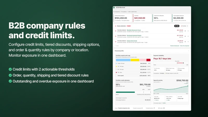 B2B Marshal: Company Rules