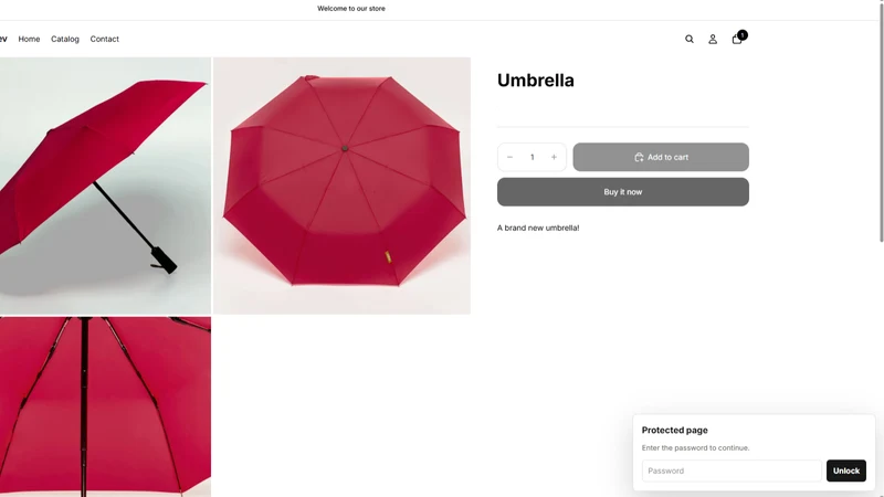 Password Lock Pages & Checkout