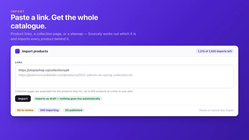 Sourcely+ AI Product Importer