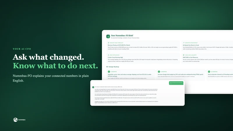 NUMMBAS: Profit,Cash Flow & AI