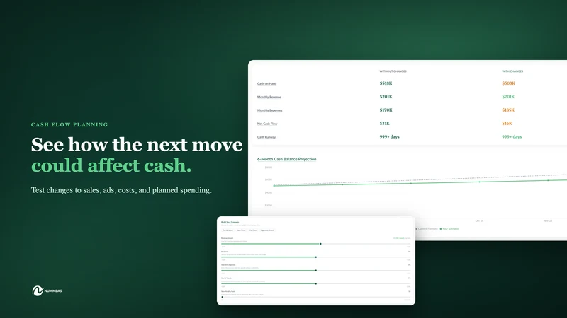 NUMMBAS: Profit,Cash Flow & AI