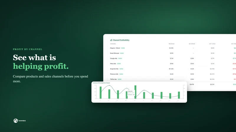 NUMMBAS: Profit,Cash Flow & AI