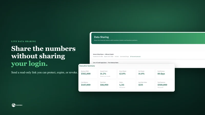 NUMMBAS: Profit,Cash Flow & AI