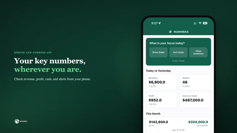 NUMMBAS: Profit,Cash Flow & AI