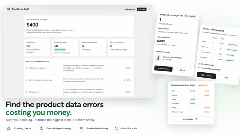 Profit Leak Audit