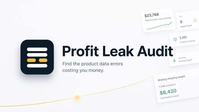 Profit Leak Audit