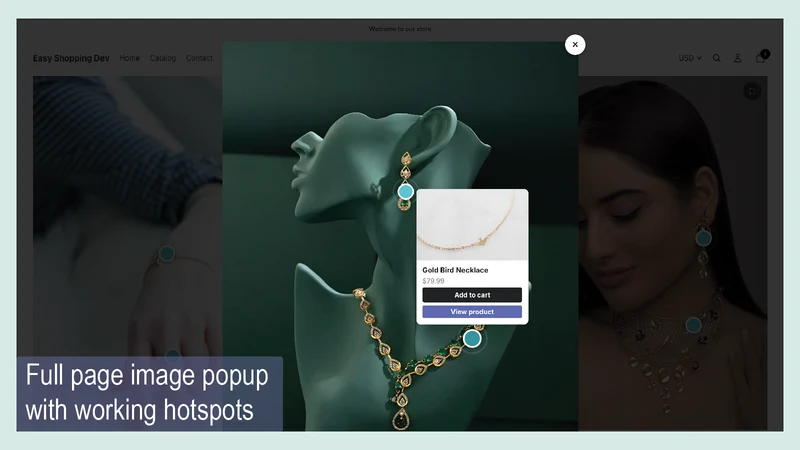 Shoppable Image Product Pins