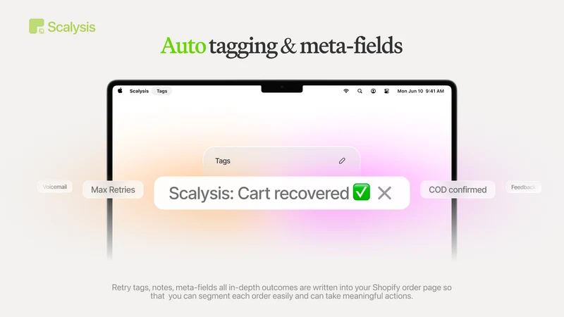 Scalysis: Voice AI for D2C