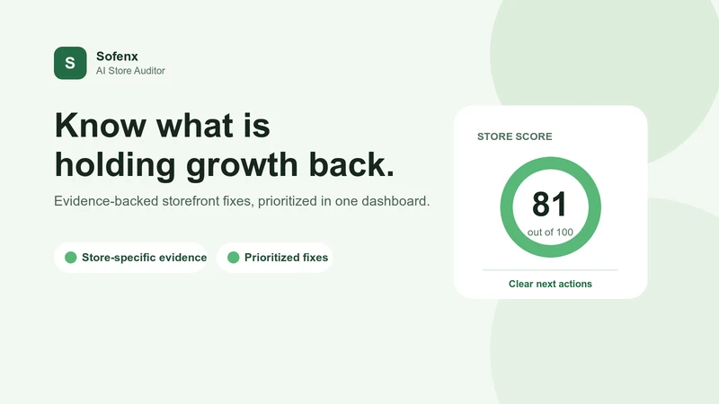 Sofenx AI Store Auditor
