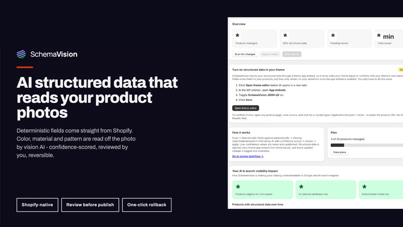 SchemaVision: AI search data
