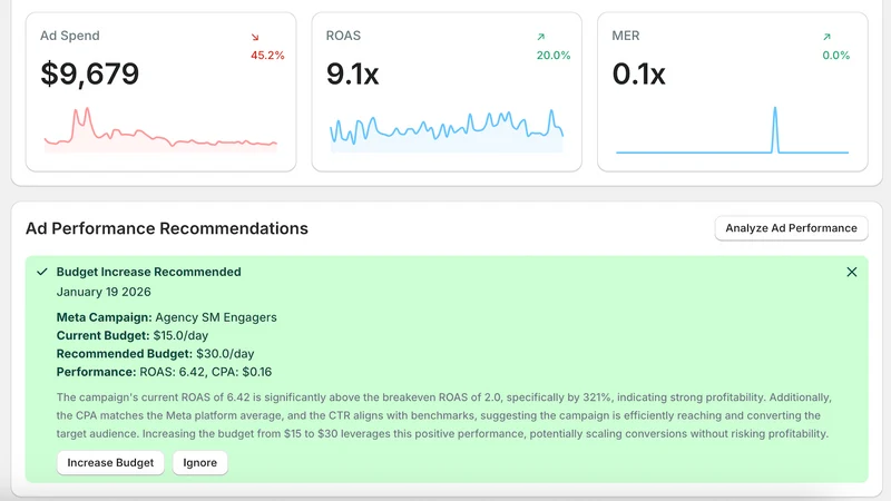 Agency AI: Meta, Google Ads AI