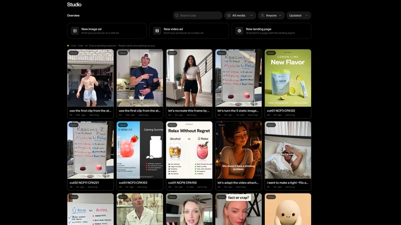 Reve Marketer