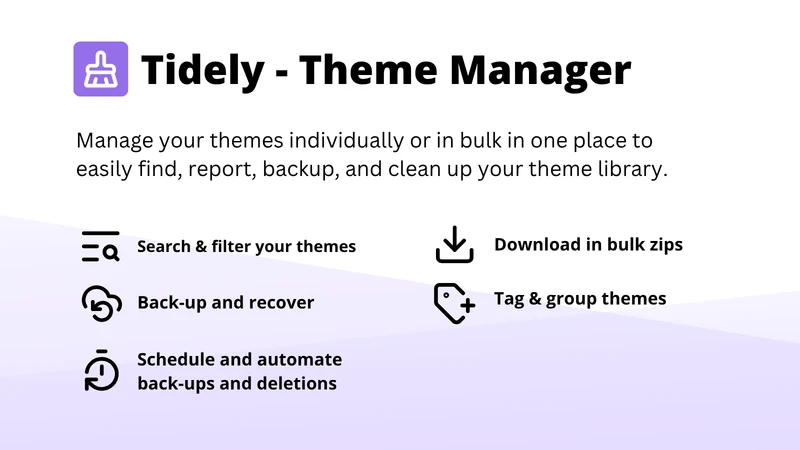 Tidely ‑ Theme Bulk Manager