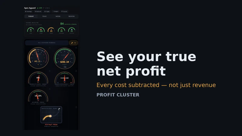 Gauge Labs ‑ Profit Cluster