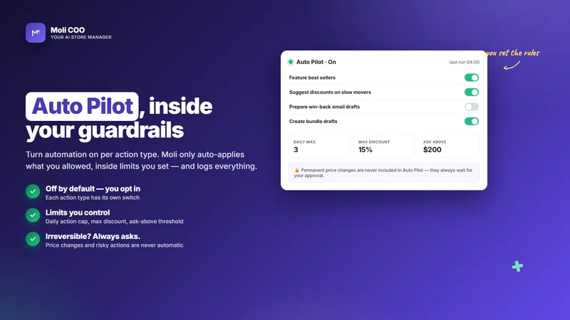 Moli COO – Your AI Store
