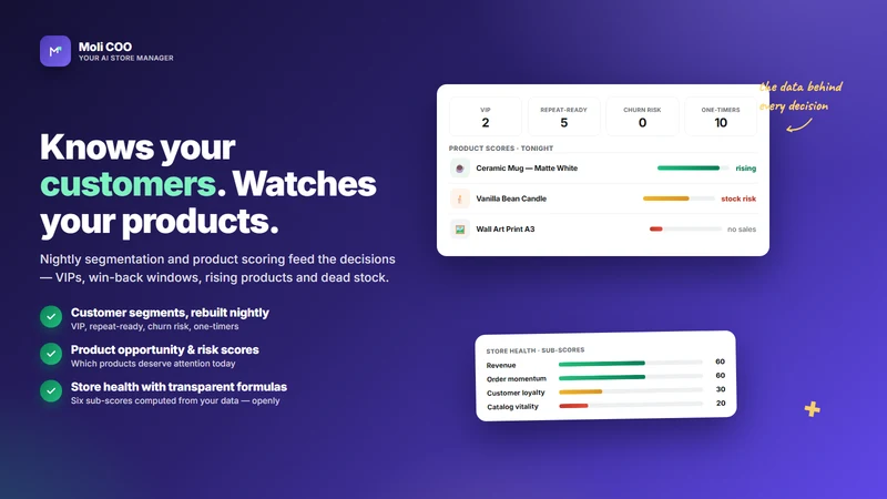 Moli COO – Your AI Store