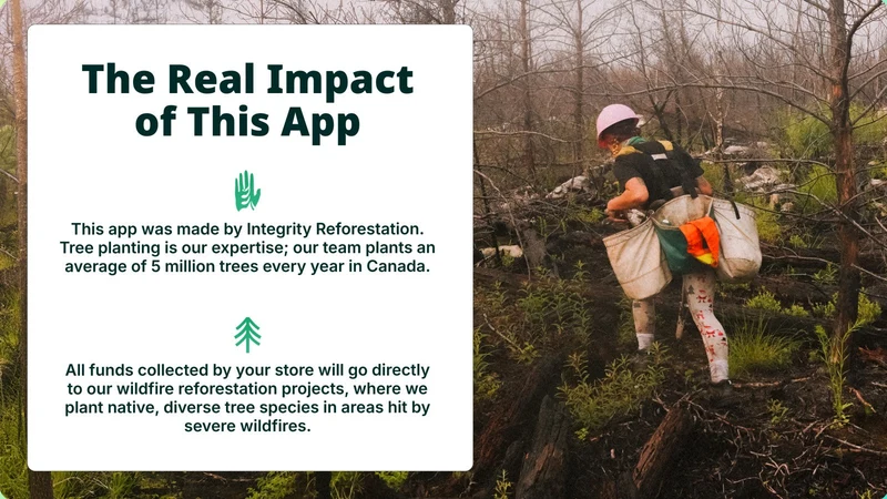 Integrity Trees at Checkout