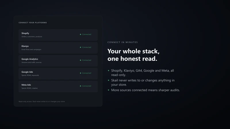 Skail ‑ AI Ecosystem Analyst