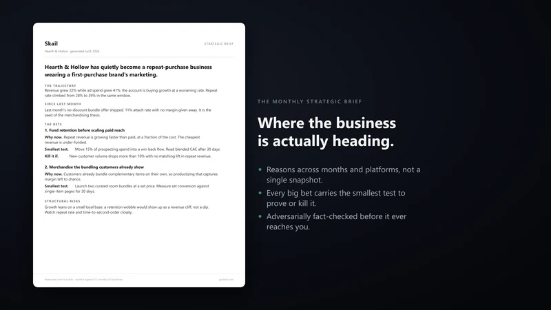 Skail ‑ AI Ecosystem Analyst