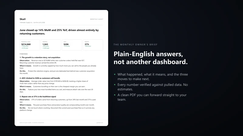 Skail ‑ AI Ecosystem Analyst