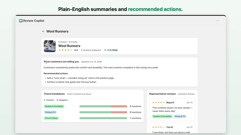 Review Copilot
