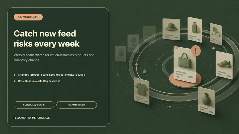 MW TikTok Feed & Catalog