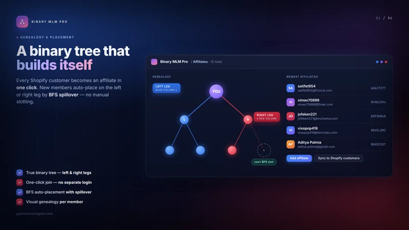 Binary MLM System Pro