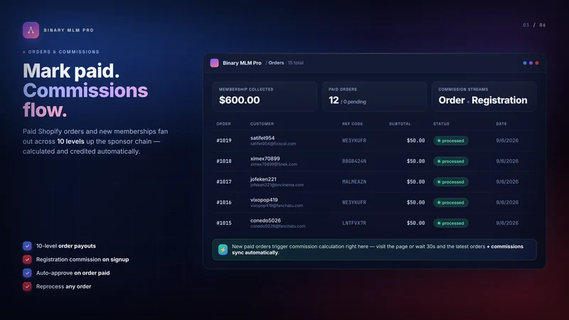 Binary MLM System Pro