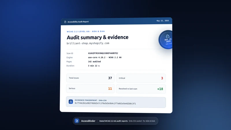 AccessBinder: ADA WCAG Audit
