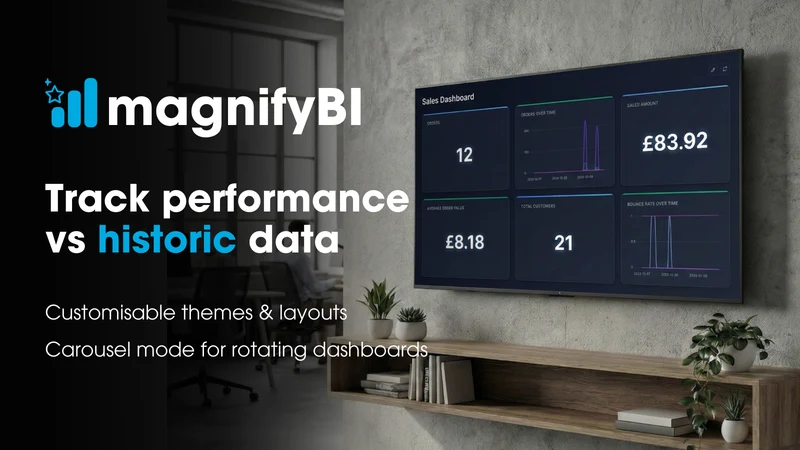 MagnifyBI
