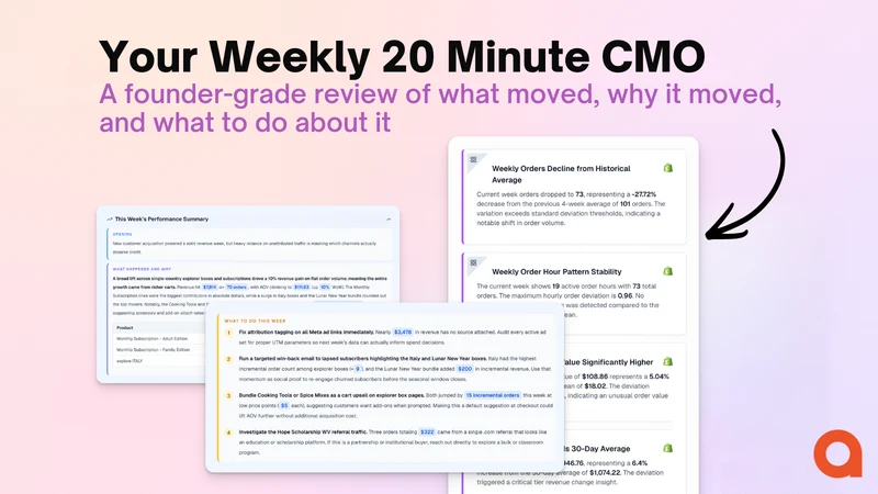 Arlo: Your 20 Minute AI CMO